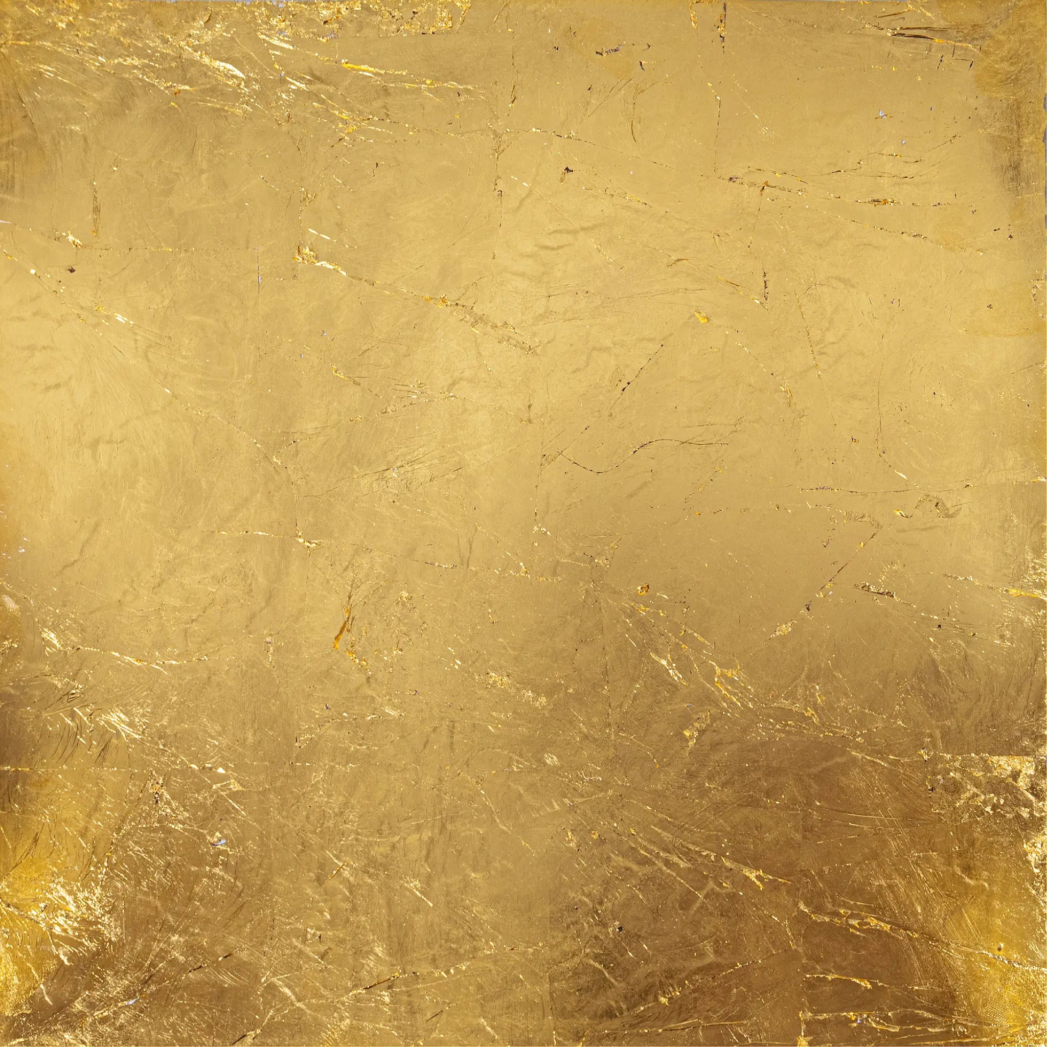 détails d'une feuille d'or sonogram