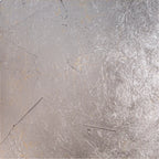 détail d'une feuille d'argent sonogram
