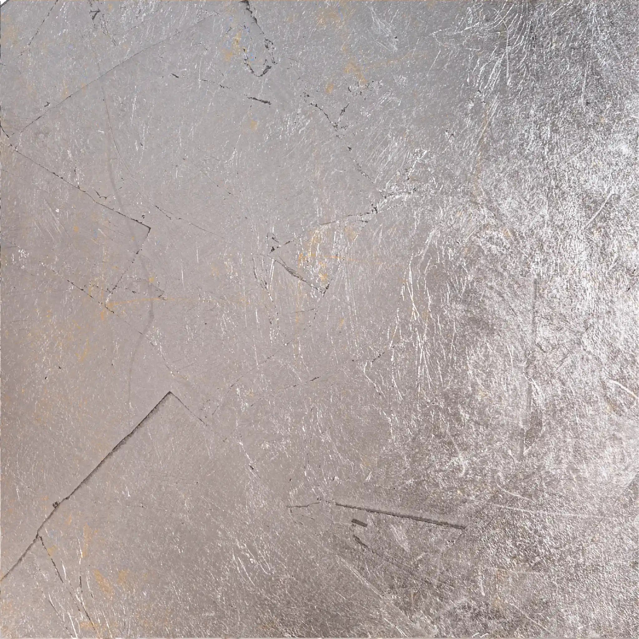 détail d'une feuille d'argent sonogram